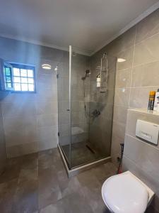 a bathroom with a shower with a toilet and a sink at Sarajevo Pine House in Sarajevo