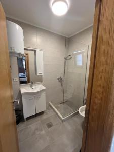 a bathroom with a shower and a sink and a toilet at Sarajevo Pine House in Sarajevo