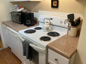 a kitchen with a white stove and a microwave at Private Green Cottage near downtown in Asheville +16 photos