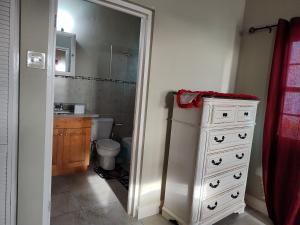 蒙特哥贝3 bedroom with a nice view的一间带水槽、卫生间和梳妆台的浴室