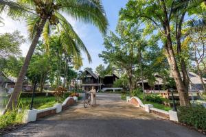 a person riding a bike down a road with palm trees at อภิรตา รีสอร์ท in Nan