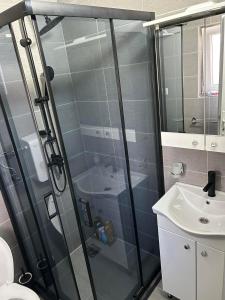 un baño con ducha y lavabo en Stan Na Dan Ninić, en Loznica