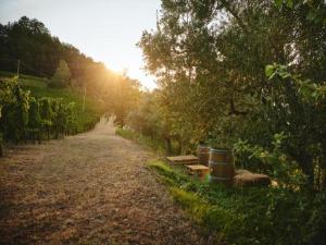 A garden outside Apartment in Modigliana with Pool & Forest Views