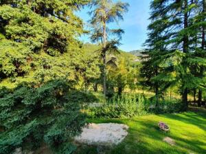 A garden outside Apartment in Modigliana with Pool & Forest Views