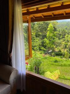 a window with a view of a lush green field at The Alam Bungalow & Restaurant in Tetebatu