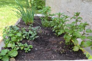 A garden outside Sonnenoase