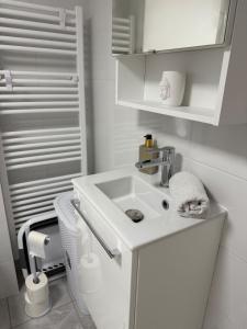 a white bathroom with a sink and a toilet at Studio with Garden in Villerupt +11 photos