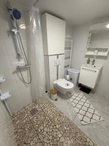 a bathroom with a shower and a toilet and a sink at Studio with Garden in Villerupt