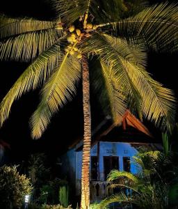 a palm tree in front of a house at Dangin Kubu Pedoman in Toyapakeh