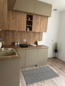 MirovoPrimo apartmani的带水槽和台面的厨房