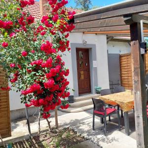 Budova, kde se apartmán nachází + 37 fotografií