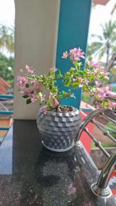 Zahrada ubytování Purayilhomestay