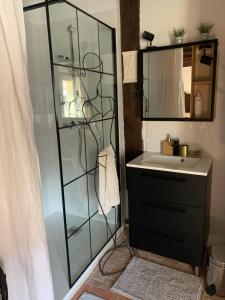 ein Badezimmer mit Waschbecken und Glasdusche in der Unterkunft Maison de charme in Malicorne-sur-Sarthe