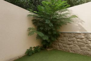 a palm tree leaning against a wall at 819. 2BR Townhouse Sofa Bed TVs 2 Baths Garden in Sheikh Zayed