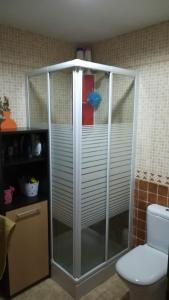 a shower in a bathroom with a toilet at Apartamento Camarena de la Sierra in Camarena de la Sierra
