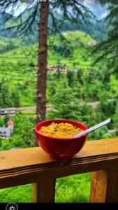 eine rote Schüssel mit Essen auf einem Felsvorsprung mit Aussicht in der Unterkunft Majestic View Cottages in Jibhi + 74 Fotos