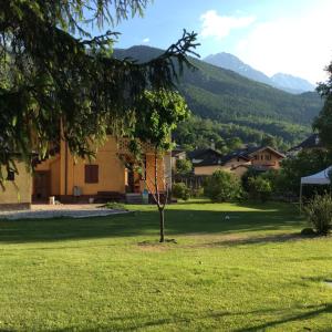 un árbol en medio de un campo verde en La maison de Chantal, en Fenis