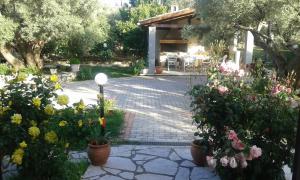- un jardin avec des fleurs en pots sur une terrasse dans l'établissement Danai, à Tsoukaladhes