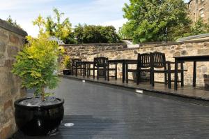 a row of chairs and a potted tree on a patio at The Hostel in Edinburgh