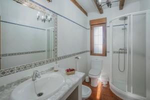 une salle de bain avec un lavabo, une douche et des toilettes dans l'établissement Casa rural Las Eras de Riofrio, à Ríofrío 22 autres photos