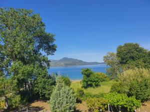 a view of a body of water with trees at Lou Apartments & Hostel in Edipsos
