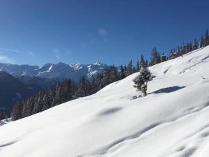 Obiekt Chalet in Alps near Ski Slopes zimą