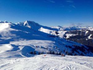 Chalet in Austria near Ski Slopes v zime