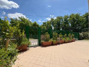 Zahrada ubytování Casa in campagna a Rosciano