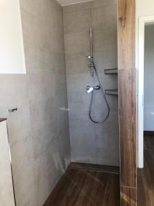 a shower with a shower head in a bathroom at Feriendomizil-SeeSand-2 in Gammendorf