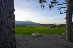 una vista de un campo entre dos árboles en Camperstellplätze, en Fischbachau