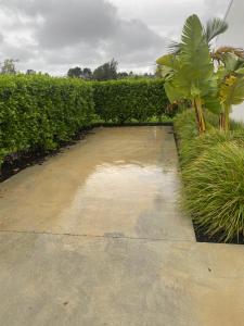 a concrete walkway with grass and a palm tree at Point Wells Holiday Apartment in Big Omaha