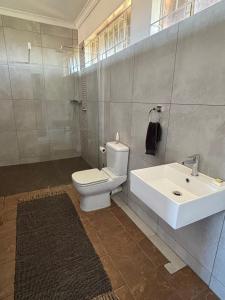 a bathroom with a white toilet and a sink at Dewdrop Farm Stay in Ermelo +24 photos