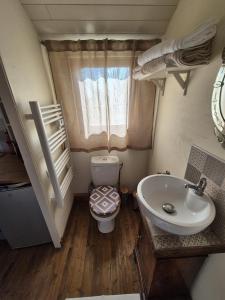 a small bathroom with a toilet and a sink at Les trois bergers in Serley