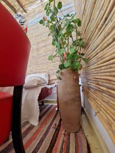 Uma área de estar em HOSTEL bANANA
