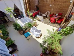 Uma área de estar em HOSTEL bANANA
