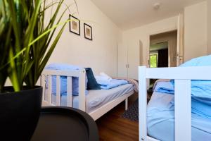 a bedroom with two bunk beds and a potted plant at Urban und Zentral-Low Budget für Familien und Monteure,WLAN, Zentrum, 3 Schlafzimmer- bis 5 Personen, Legoland,Münster in Neu-Ulm