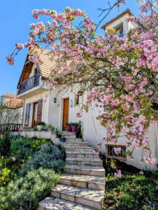 a tree with pink flowers in front of a house at 3 Chambres-Disneyland Paris in Saint-Thibault-des-Vignes +49 photos