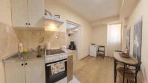 una cocina con fregadero y estufa horno superior en Center Point apartment, en Belgrado