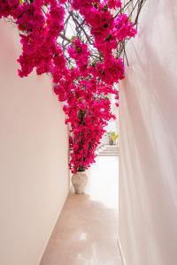 a vase filled with pink flowers on a wall at Malacosta A - MC Apartments Ibiza in Ibiza Town