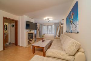 a living room with a couch and a tv at CrosswayBg Pamporovo in Pamporovo