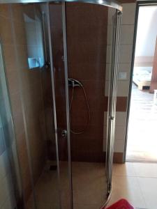 a shower with a glass door in a bathroom at Apartmán Nicolass in Šakvice