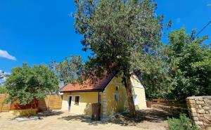 a small yellow house with a tree next to it at Káli-lak Vendégház in Köveskál