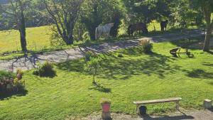 Ogród w obiekcie Gîte des écuries de la paguere