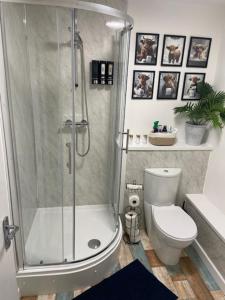 サースクにあるHeads In Beds, The Bull Roomのシャワーとトイレ付きのバスルーム
