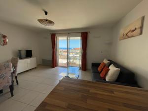un salon avec un canapé et une télévision dans l'établissement SAPHIR - Vue Mer et Montagne - WIFI FIBRE- PISCINE et GARAGE Privé, à Collioure