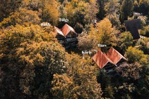 Příroda nedaleko apartmánu