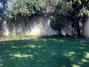 ein grüner Hof mit Bäumen und einer Backsteinmauer in der Unterkunft Tranquility Guesthouse JHB in Kempton Park + 3 Fotos