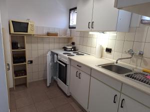 Kuchyň nebo kuchyňský kout v ubytování Szilva Apartman