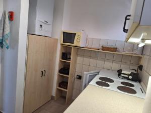Kuchyň nebo kuchyňský kout v ubytování Szilva Apartman