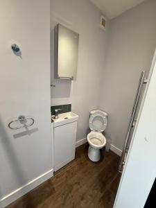 a bathroom with a toilet and a sink and a mirror at Turquoise Garden in Macclesfield